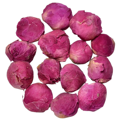 Бутони півонії